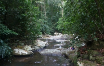 Another view of the Udakiruwa stream