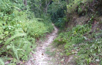 Uda Kiruwa , footpath through the forest