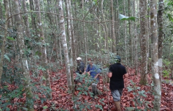 Udakiruwa walk through the forest