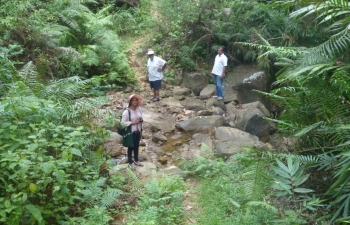 Walking down the forest path . Hiniduma