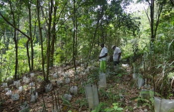 Another view of the nursery