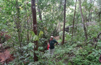 Baddegama Forest scene