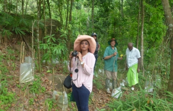 Hinniduma forest replanting