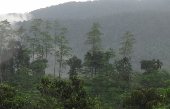 scenic view from ambelegedara site 