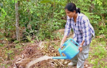 A trastee watering a plant in Hiniduma 2010